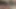 Terli ayaklarıma masaj yapıyor, kokluyor ve öpüyor