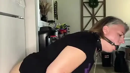 Öğleden sonra yarak yolculuğu