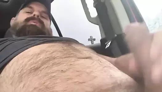 kıllı ayı boşalan ve kırlangıçlar onun yük