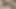 Trans kız arkadaşım amımı sikiyor ve her şeyi kaydetti