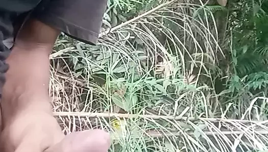 Bahçemde çok fazla sperm dökülüyor