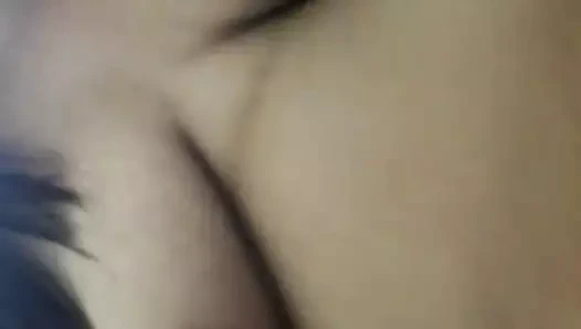 Meksika tombul arife