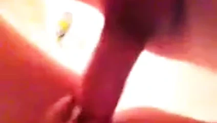 Kedi yeme benim horoz xgf showtime