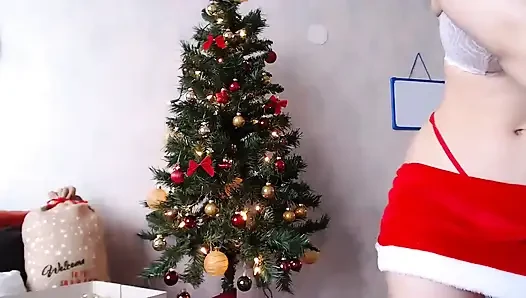 Noel Ağacını Canlı Dekore Ediyor