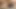 Kadın anal oyun, önce ve sonra göt yanaklarını açma, orgazm ile dildo, küçük delik