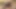 Seksi latin iki deliklerini genişletmeyi seviyor
