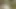 Alanda fotoğraf oturumu