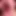 Inside my mouth: ginary