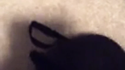 Sıcaktan gelen aşk sütyenleri