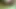 TRIO trans , hombre y mujer , compra el video x paypal