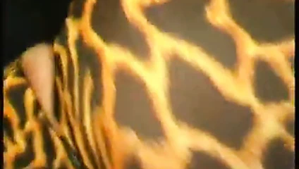 çılgın tayt bebeğim