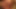 Baştan çıkarıcı esmer orta yaşlı seksi kadın ıslak yoğun sakso çekiyor