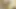 Shaved Labia, Mayu Kawai Asyalı porno oyununda edepsiz ve azgın oluyor!