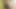 Kredi4k. kredi porno mütevazi elis dark nasıl bir hale geldiğini gösteriyor...