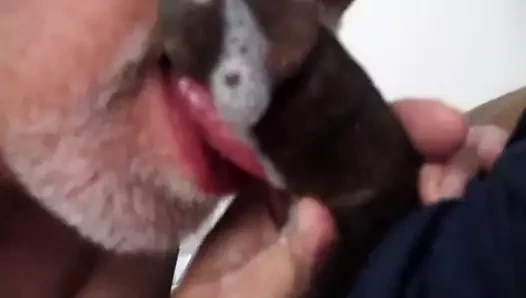 Nyc Güney Asya tomurcuğu alotta tohumunu püskürtür.