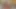 Reddit getverfied için doğrulama işaretimi yapmak