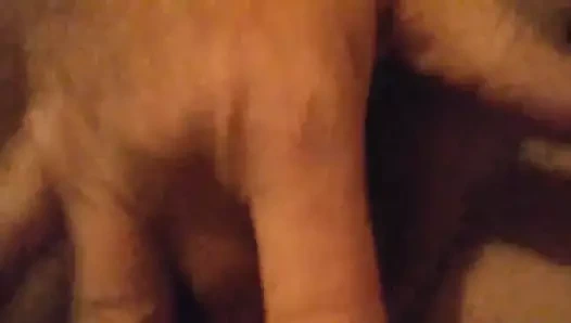 Lisa de bella çalış ile kedi