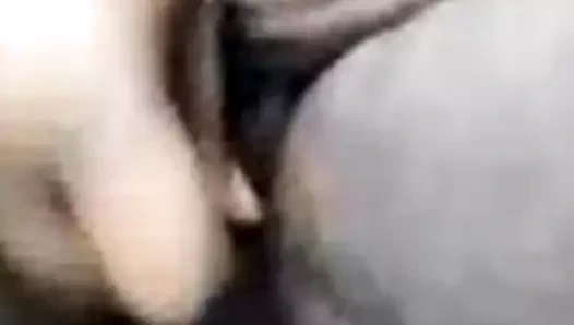 Abanoz kedi sikme mum 2