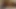 Başka bir xhamster üyesiyle