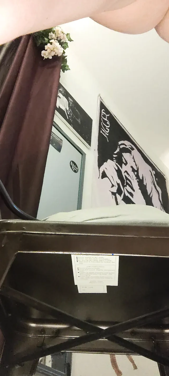 Время игр для киски