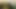 Cheating Housewife