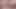 Travesti vitoria neves vahşi bir oyuncakla sikiş seansı yapıyor