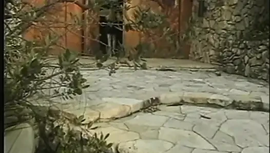Kocaman horoz dolu
