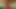Hotkinkyjo'dan kızıl canavar dildo ve sarkma