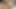 Tam 42 dakika bangladeşli sikiş videosu. Üvey erkek kardeş üvey kız kardeşini yakalıyor ve onu sert sikiyor. Ateşli genç üvey kız kardeşimi sikiyorum.