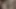 Köle ego görüntüsünde huniden sarı sidik eğitimli ve yutuyor