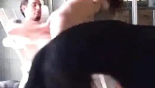 Brandon'ın ateşli veranda karşılaşması