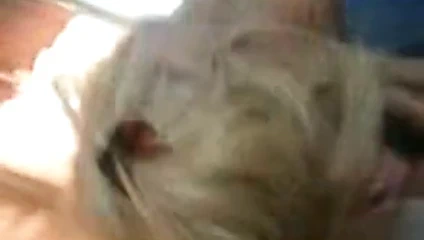 Genç sürtük kız arkadaş salya üzerinde benim çük