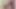 Tatiana ve Ian harika salon seksi yapıyor