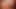 seksi genç bayan köpek ve yüz