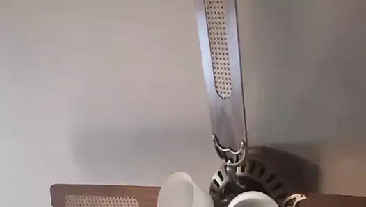 Milwaukee bir shia williams