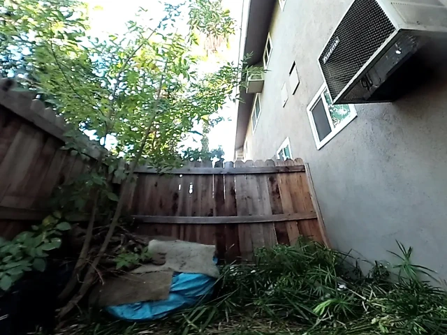 Lizzy Yum vr 2025 kenar #194