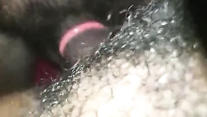 Araba lanet vc bodrum.