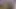 Kız masum görünüyordu ama spermimi yuttu