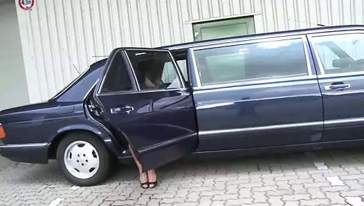 şehvetin limuzini (ganzer filmi)