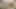 Sulu amcıklı Gordibuena. Onu farklı yerlerde domaltarak sikiyorum - İspanyolca porno