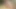 Büyük etli amcık, göt ve büyük memeler #15