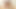 Çiçekler röportajlar baştan çıkarıcı İtalyan milf nikki capone