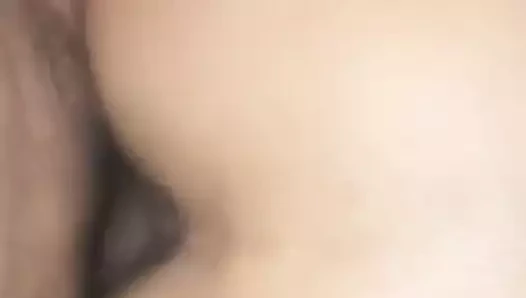 Mi esposa de perrito