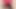 FEMBOY DERLEMESI EDEPSIZ BIR SÜRTÜK