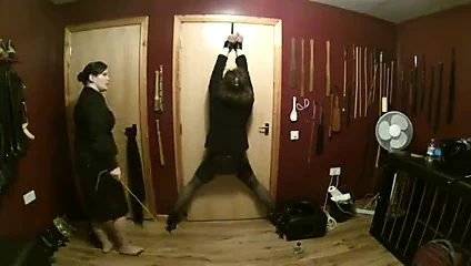 Tv emlakçı sorgulaması (bölüm 2)