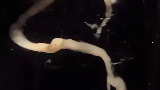 Bunu izlemek beni titretiyor