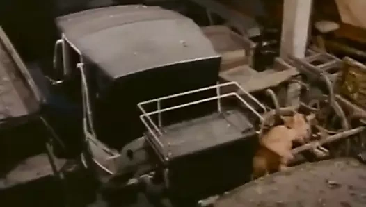 Karım, sevilecek bir vücut (1973)