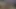 Yaraklardan nefret ediyorum ve onları eziyorum (her iki görünümde)
