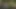 Günahlarla mücadele oyunu tia açık havada ve çadır içinde sikiliyor