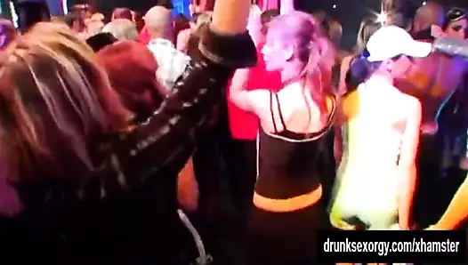 Dik civcivler emmek musluklar içinde kamu